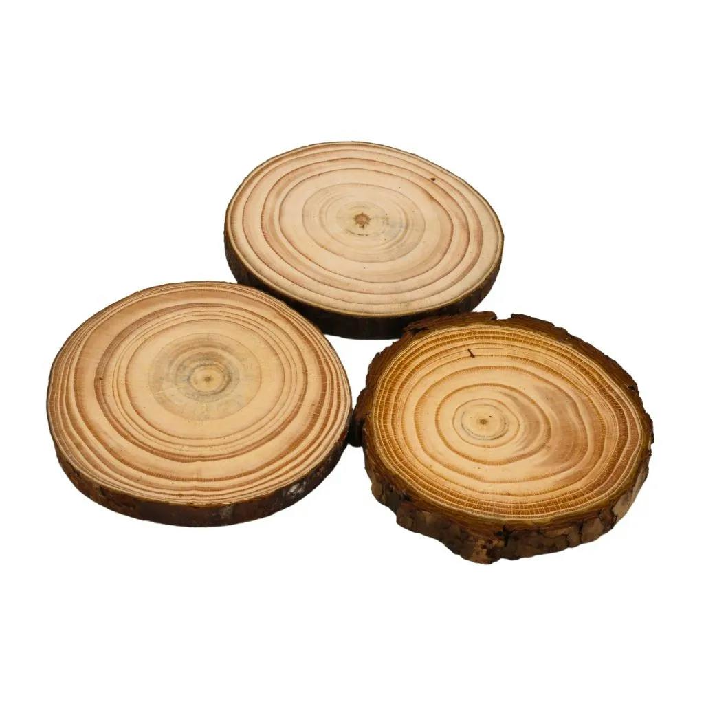 Natural Wood Slice, 8-9cm