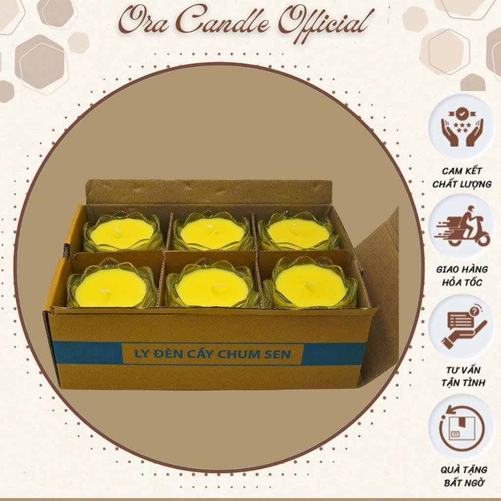 Lotus Flower Base Beeswax Candles (Box of 12)