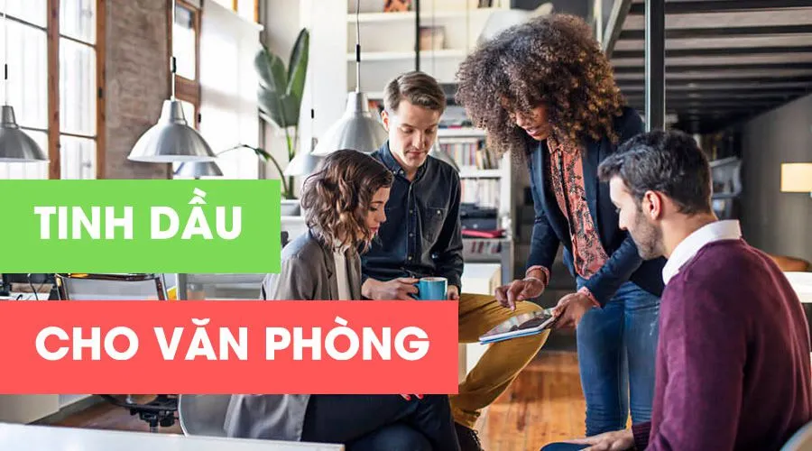 tinh dau dan van phong